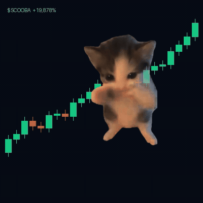 Scooba paddling over a green chart